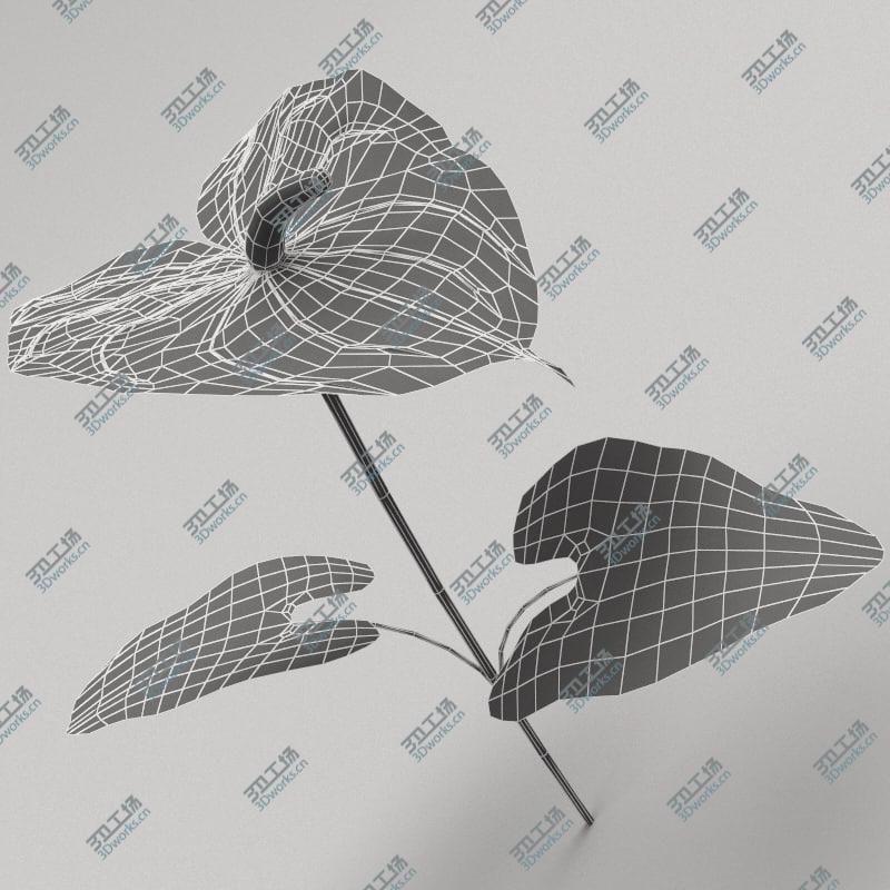 images/goods_img/2021040232/Flowers Collection V3/5.jpg